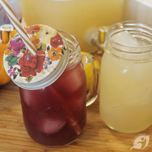 DIY Electrolyte Punch