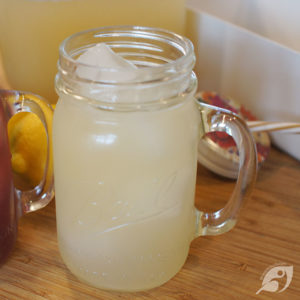 DIY Electrolyte Punch