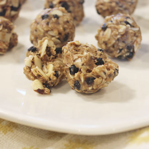 Wild Blueberry Almond Energy Bites