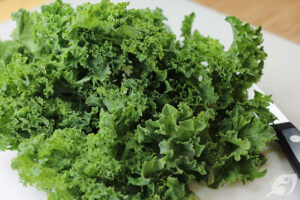 small leaves of kale