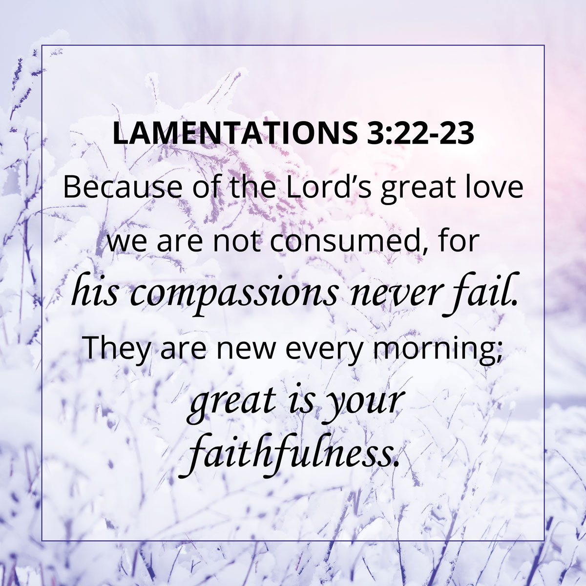 Lamentations 3:22-23 NIV | The Lord's Great Love - gfreedeliciously.com