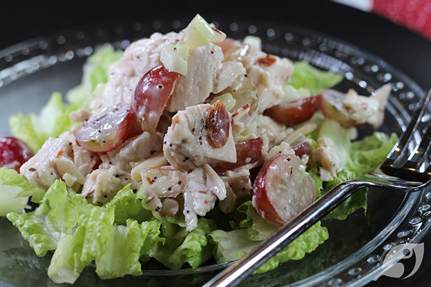 closeup Cranberry Chicken (Turkey) Salad on a bed of Romaine lettuce