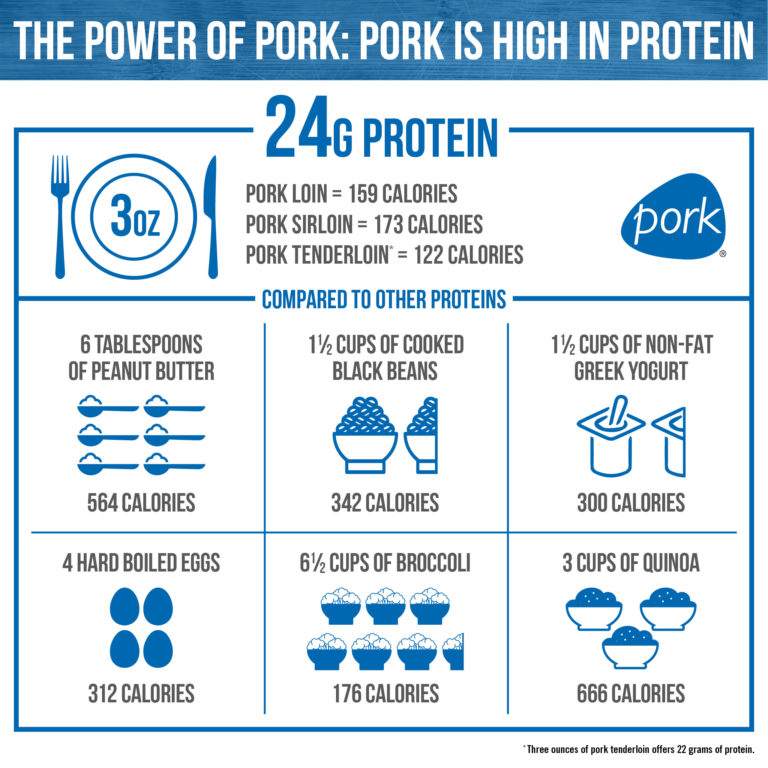 Pork protein infographic