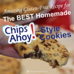 1080x1080 px social share image showing a closeup of a Chips-Ahoy-style cookie with a bite out of it.